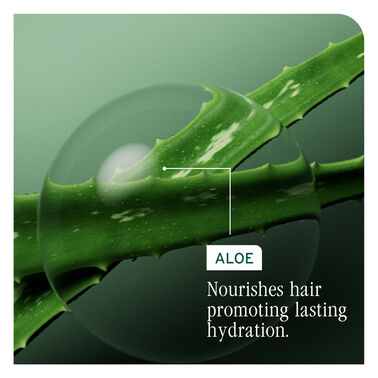 BIOLAGE HYDRASOURCE DAILY LEAVE-IN CREAM 200ML